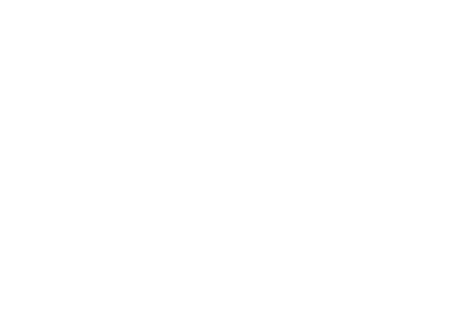 ana 3